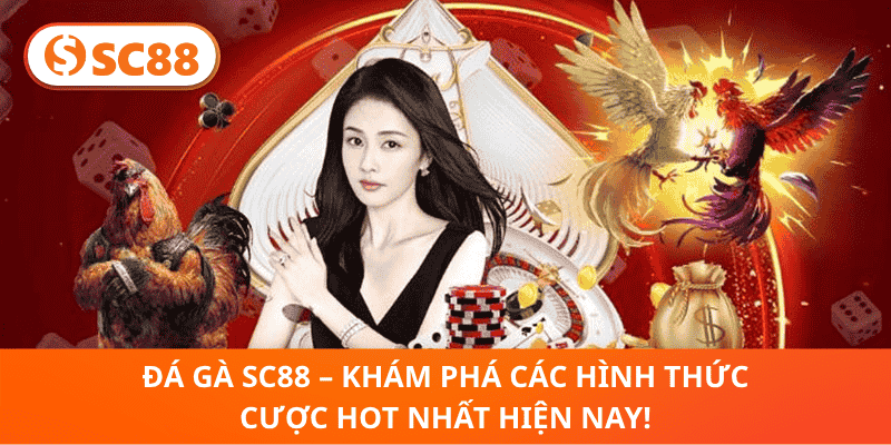 Đá Gà SC88 – Khám Phá Các Hình Thức Cược Hot Nhất Hiện Nay!